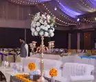 Image of Gulberg Marquee Gulberg Marquee