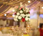 Image of Gulberg Marquee Gulberg Marquee