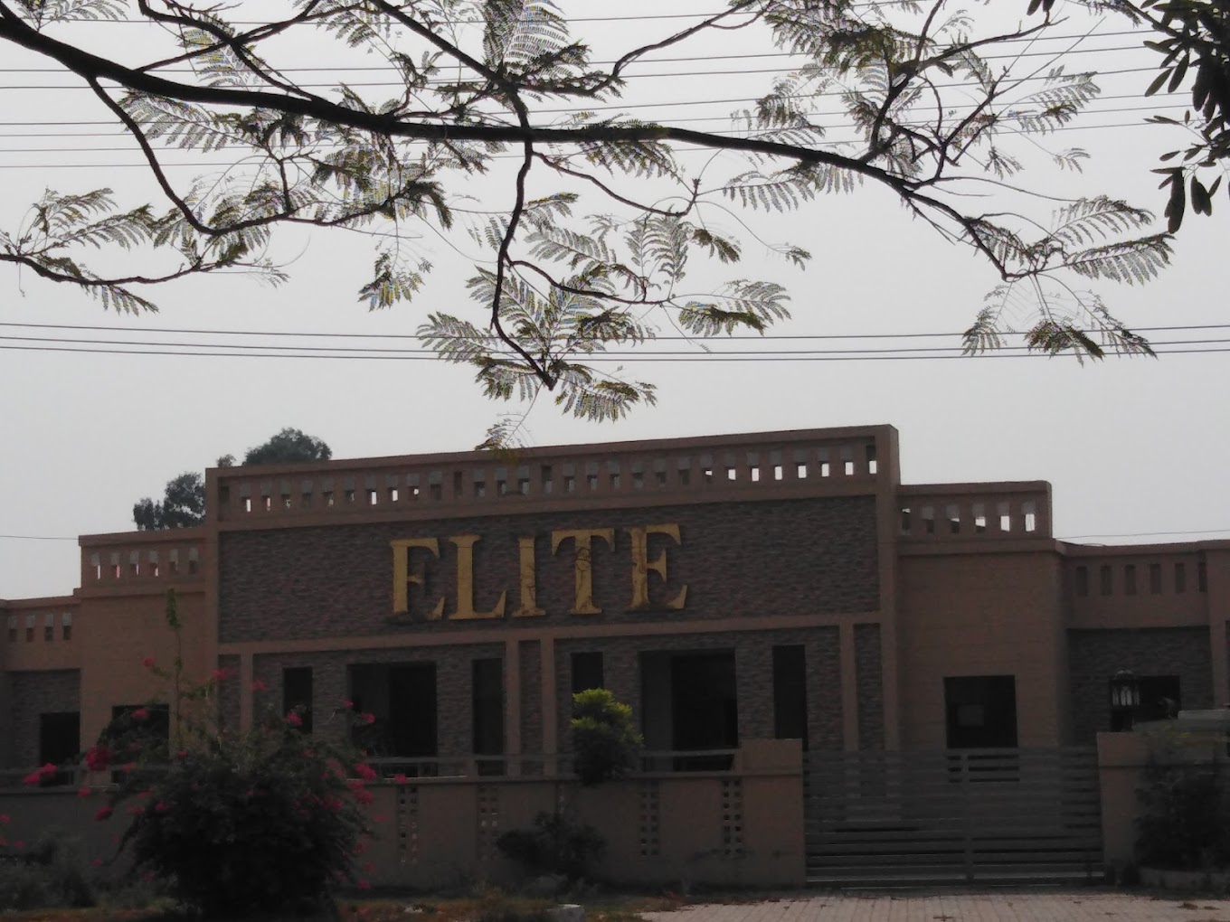 Elite Marquee - Exclusive Menus, Pricing & Booking Information