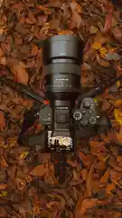 Image of Maha's Photography - Package Pricings & Details