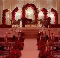 Image of Tulip Events - Exclusive Packages & Booking Details